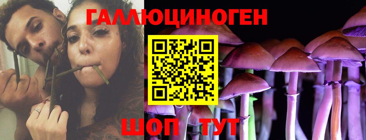 Новоалександровск  Галлюциногенные грибы MAGIC MUSHROOMS  Вход с VPN  Галлюциногенные грибы прущие грибы 